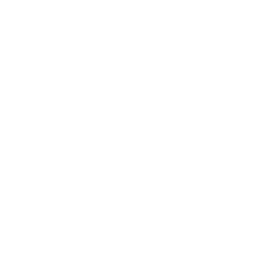 100% Authentic Icon