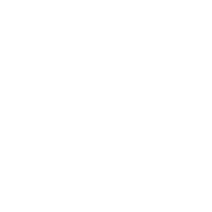 Free Shipping Icon